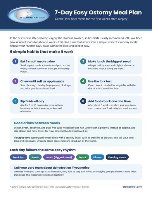 7-Day Easy Ostomy Meal Plan printable preview