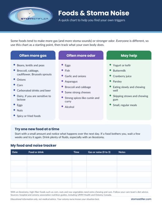 Foods and Stoma Noise chart printable preview
